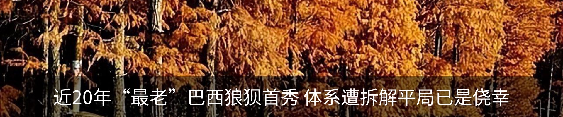 行业资讯